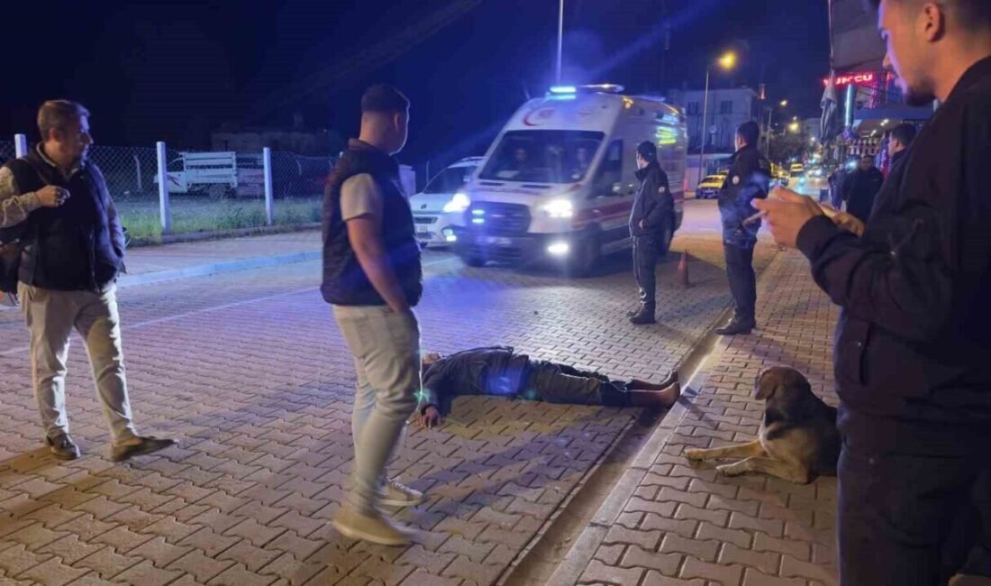 Antalya’nın Gazipaşa ilçesinde, alkol komasına girerek yol ortasında baygın halde