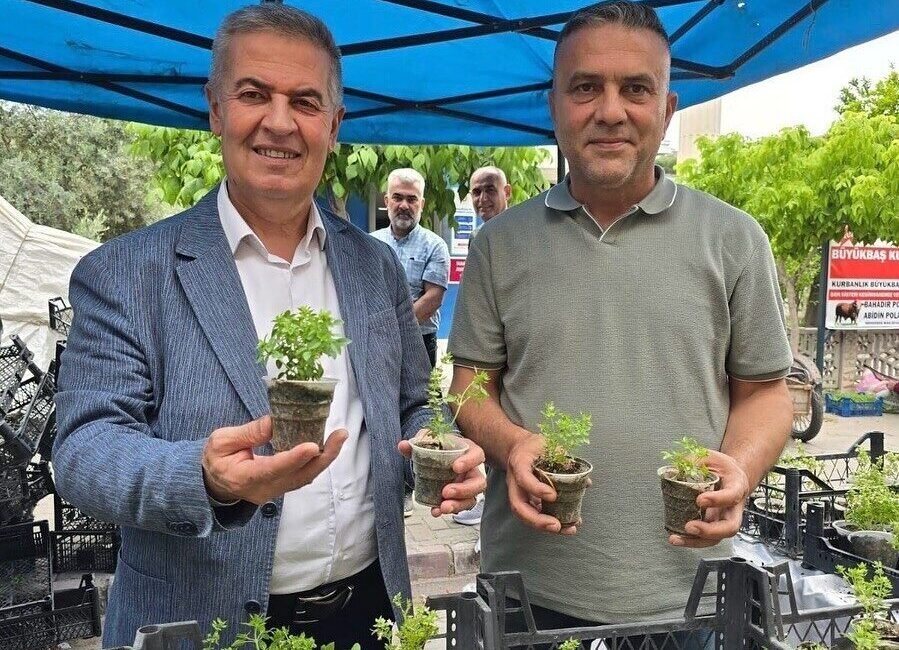 Buharkent Belediye Başkanı Mehmet Erol’un, dağıttığı ve doğal sivrisinek kovar