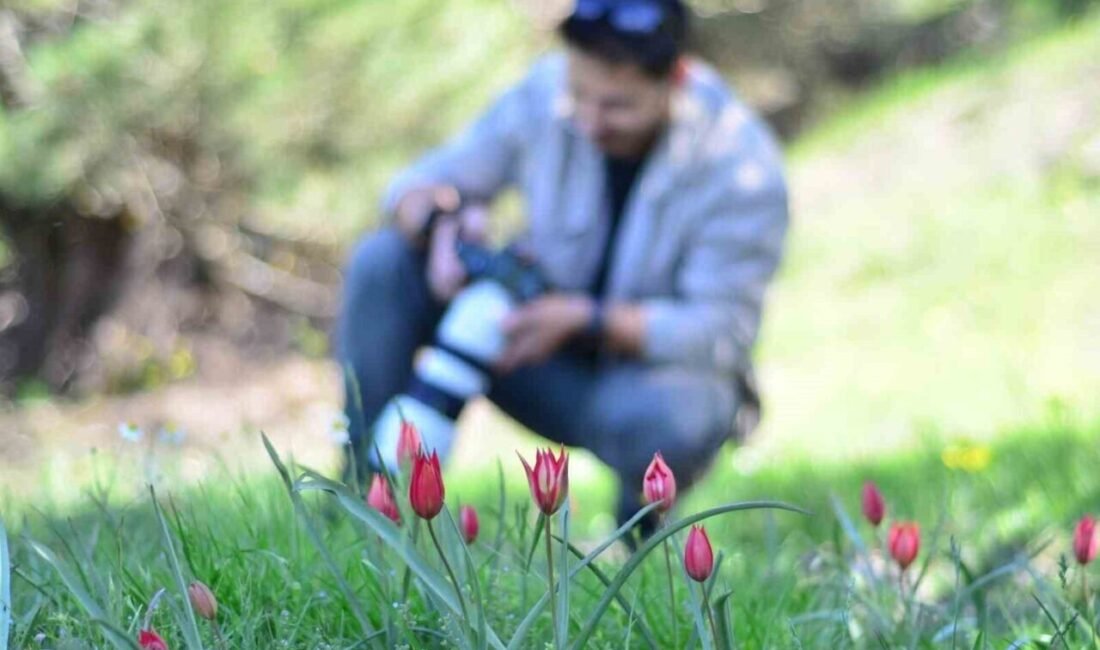 Manisa Fotoğraf Derneği (MAFOD), doğa ve fotoğraf tutkunlarını bir araya