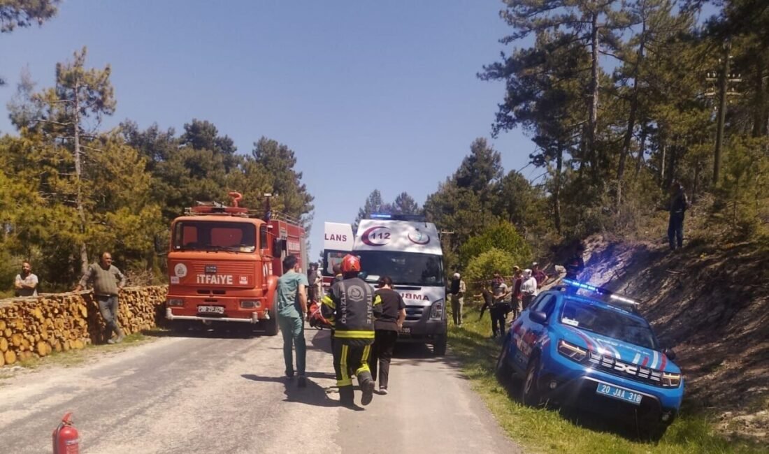 Denizli’nin Çameli ilçesinde orman sahasında yapılan kesimin ardından yol kenarına