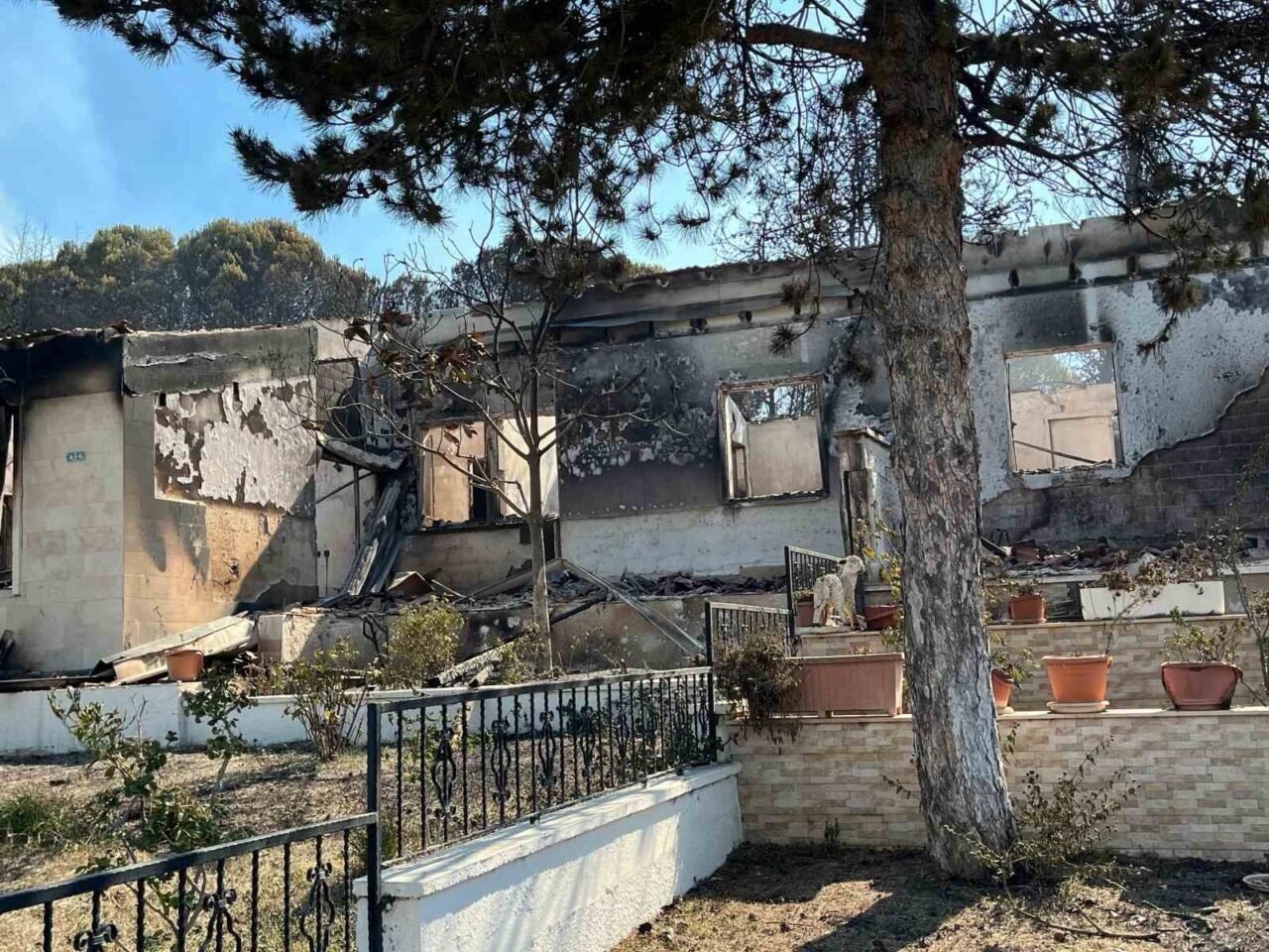40 yıllık hatıraları küle döndü