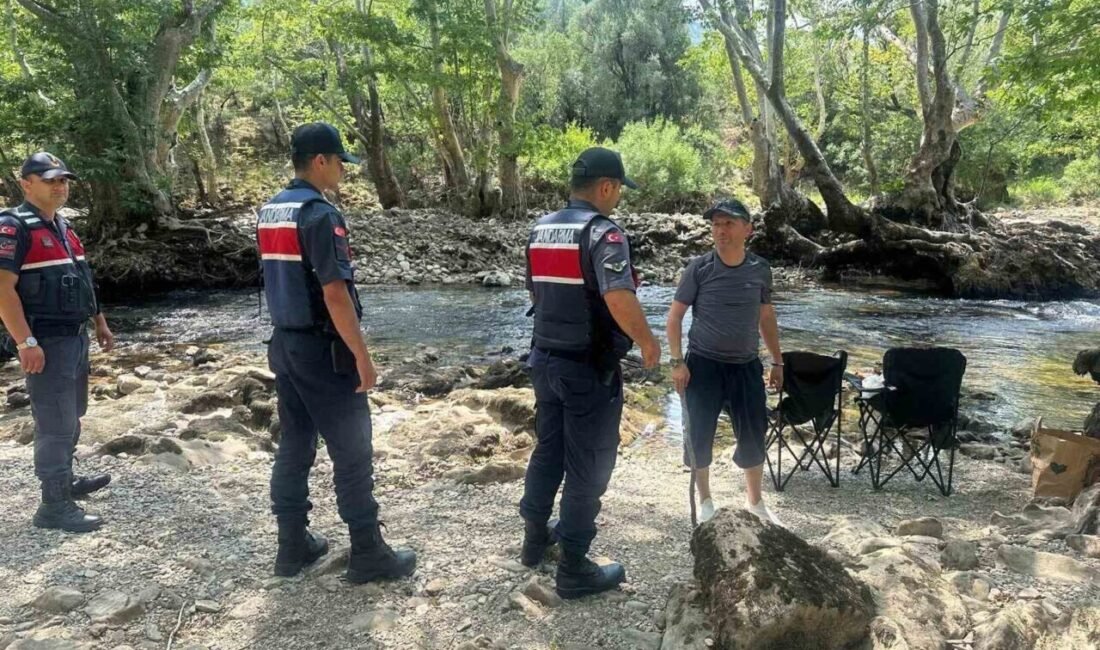 Artan sıcaklıklar ve insan hareketliliği nedeniyle orman yangını riski tüm