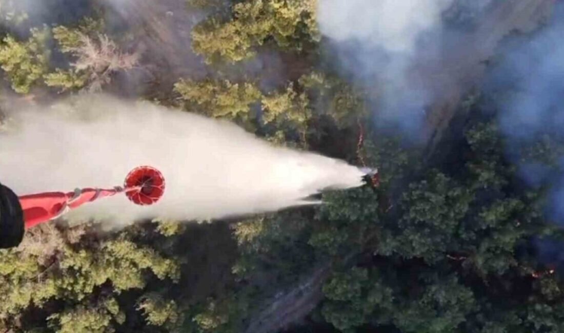 Akhisar yangını 3’üncü gününde devam ediyor Manisa’nın Akhisar ilçesinde 28 Haziran Cumartesi günü başlayan yangın, havadan
