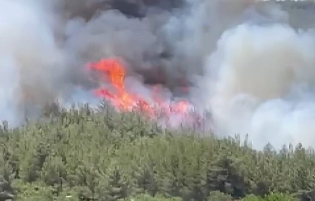 Manisa’nın Akhisar ilçesinde ormanlık alanda başlayan ve rüzgarın etkisiyle kısa