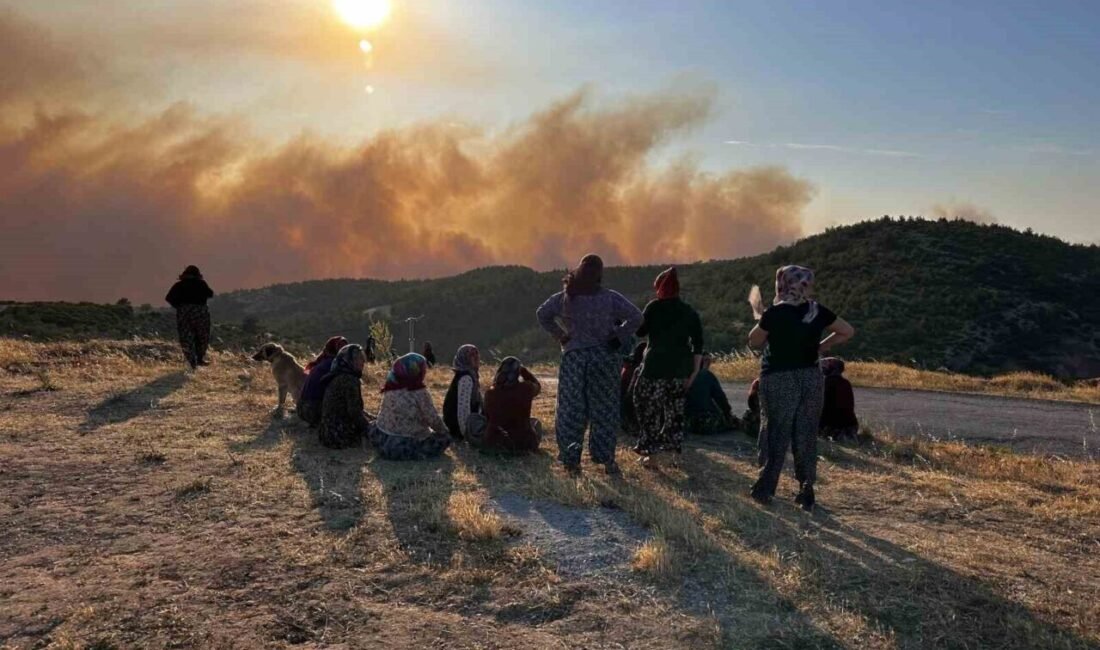 Manisa’nın Akhisar ilçesinde çıkan orman yangınıyla ilgili, arıcılıkla uğraşan bir