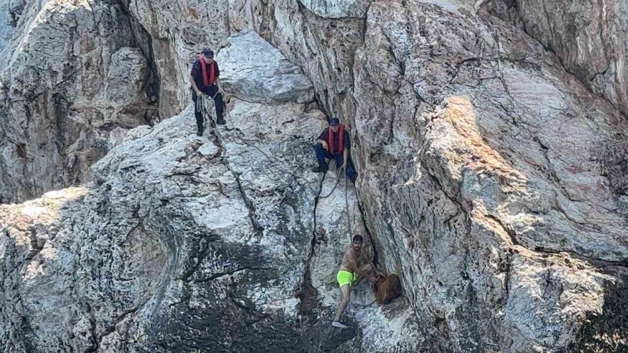 Alanya Kalesi’nde kayalık bölgede mahsur kalan dağ keçisi kurtarıldı