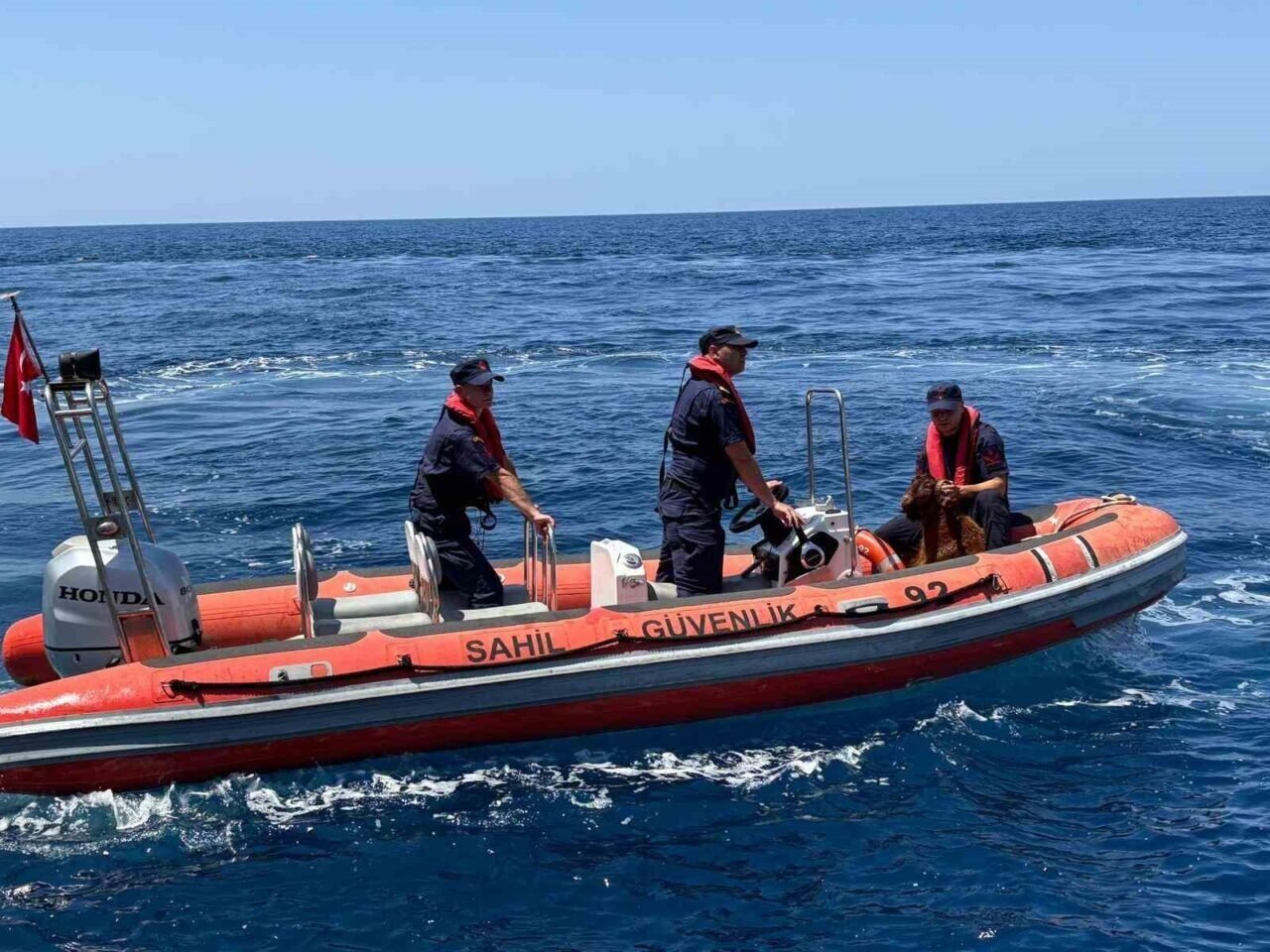 Alanya Kalesi’nde kayalık bölgede mahsur kalan dağ keçisi kurtarıldı Alanya Kalesi’nde kayalık bölgede mahsur kalan dağ keçisi kurtarıldı