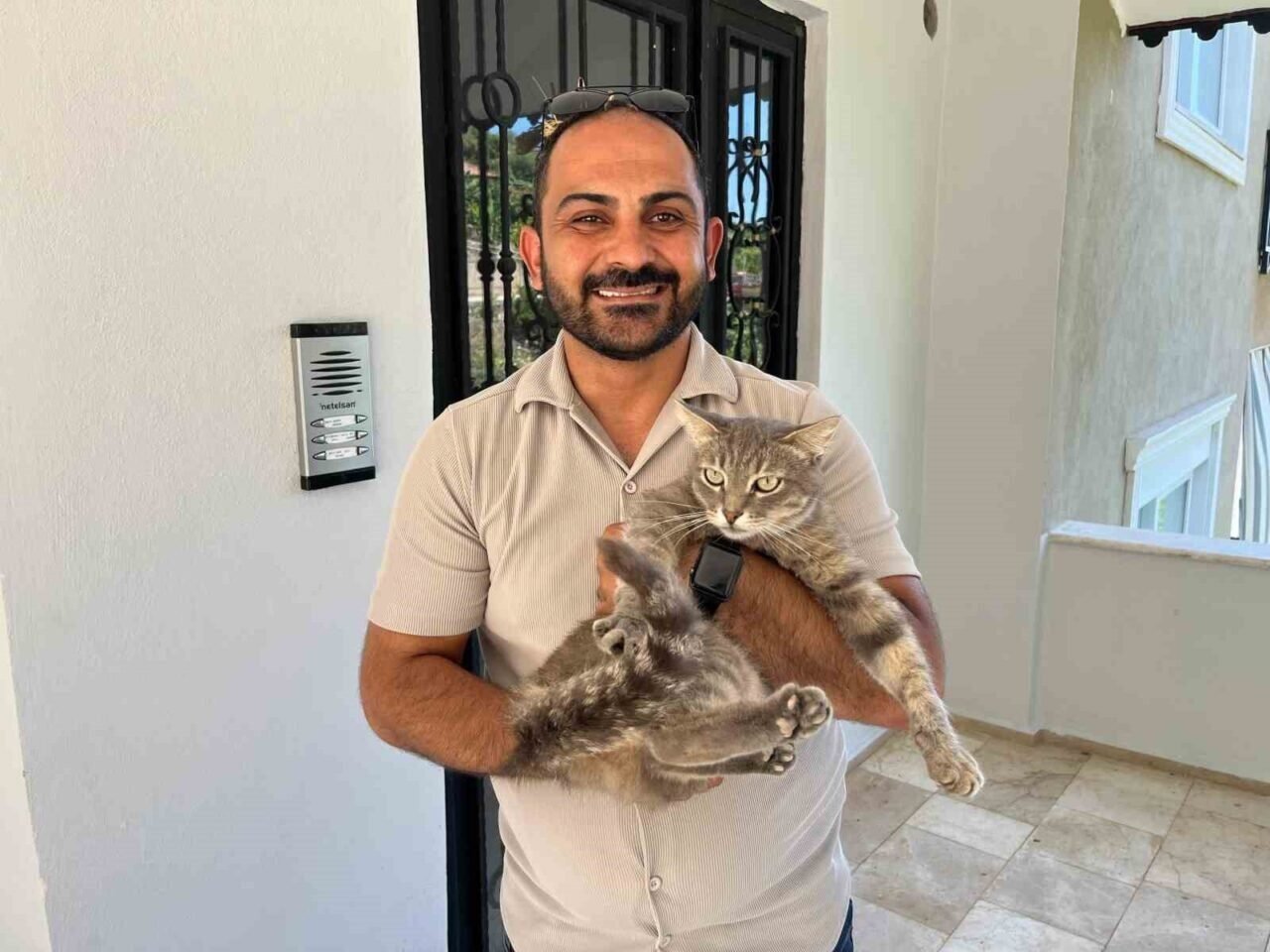 Alanya’da apartmana giren yılana kafa tutan sokak kedisi evin bekçisi oldu