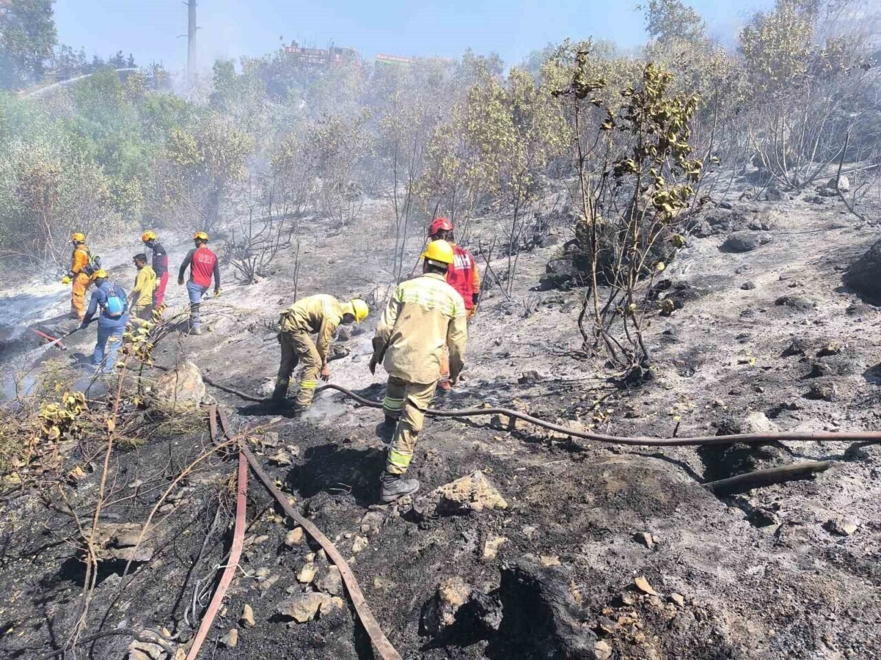 Alanya’da çıkan orman yangını kısmen kontrol altına alındı