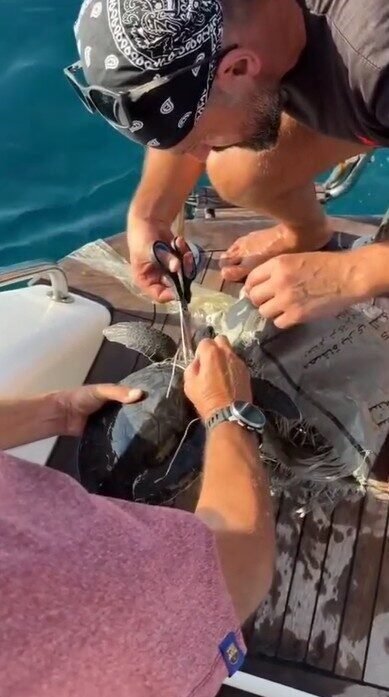 Alanya’da plastik çuvala dolanan yavru caretta caretta balıkçılar tarafından kurtarıldı