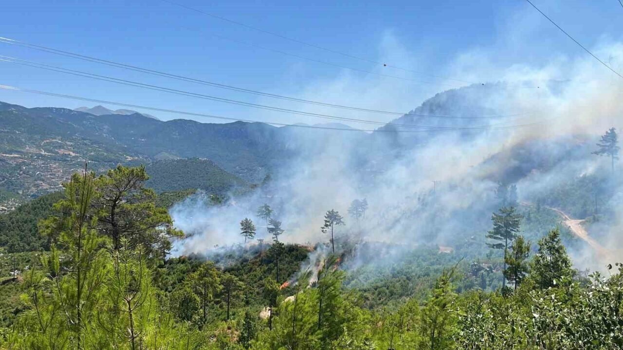 Alanya’daki yangınını kontrol altına alınması çalışmaları devam ediyor