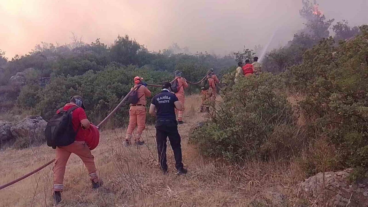 Alevlerin içinde hayatta kalma mücadelesi Alevlerin içinde hayatta kalma mücadelesi