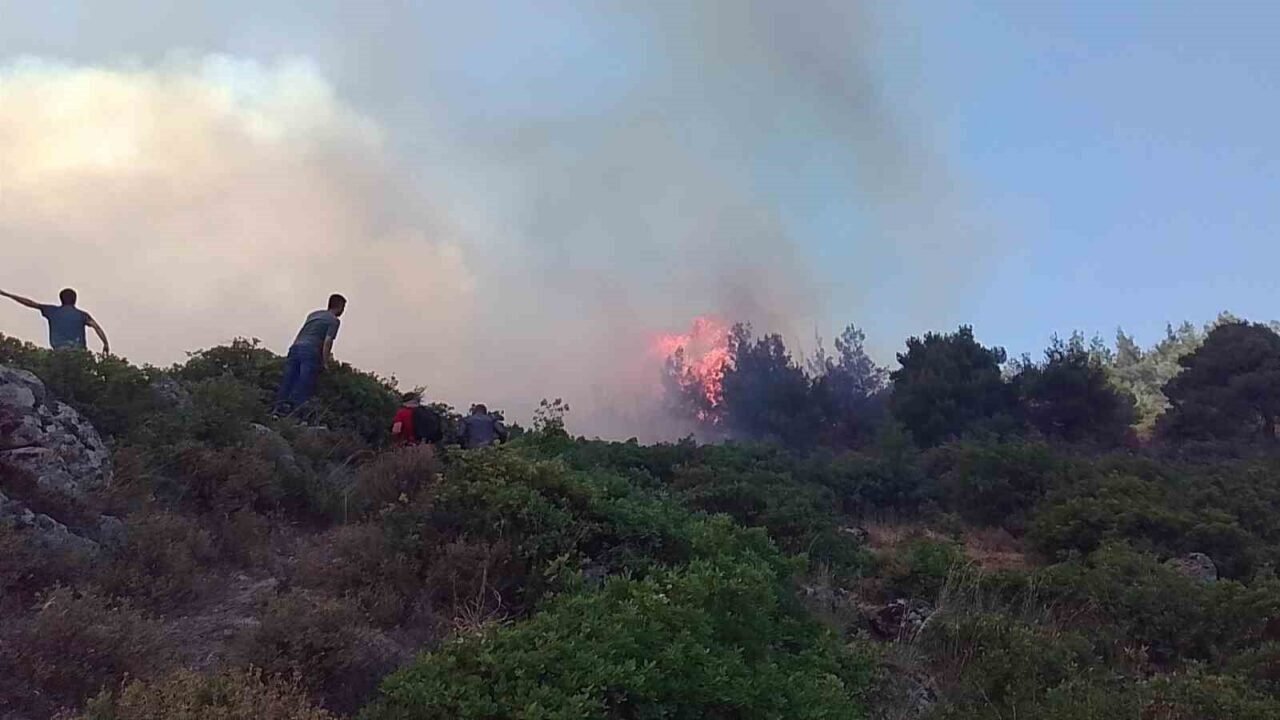 Alevlerin içinde hayatta kalma mücadelesi