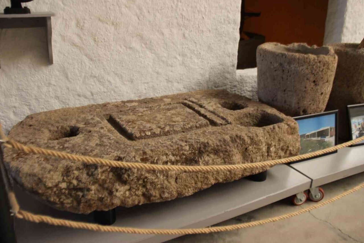 Anadolu zeytin kültürü dünyanın en büyük müzesinde yaşatılıyor