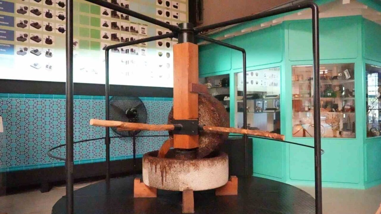 Anadolu zeytin kültürü dünyanın en büyük müzesinde yaşatılıyor