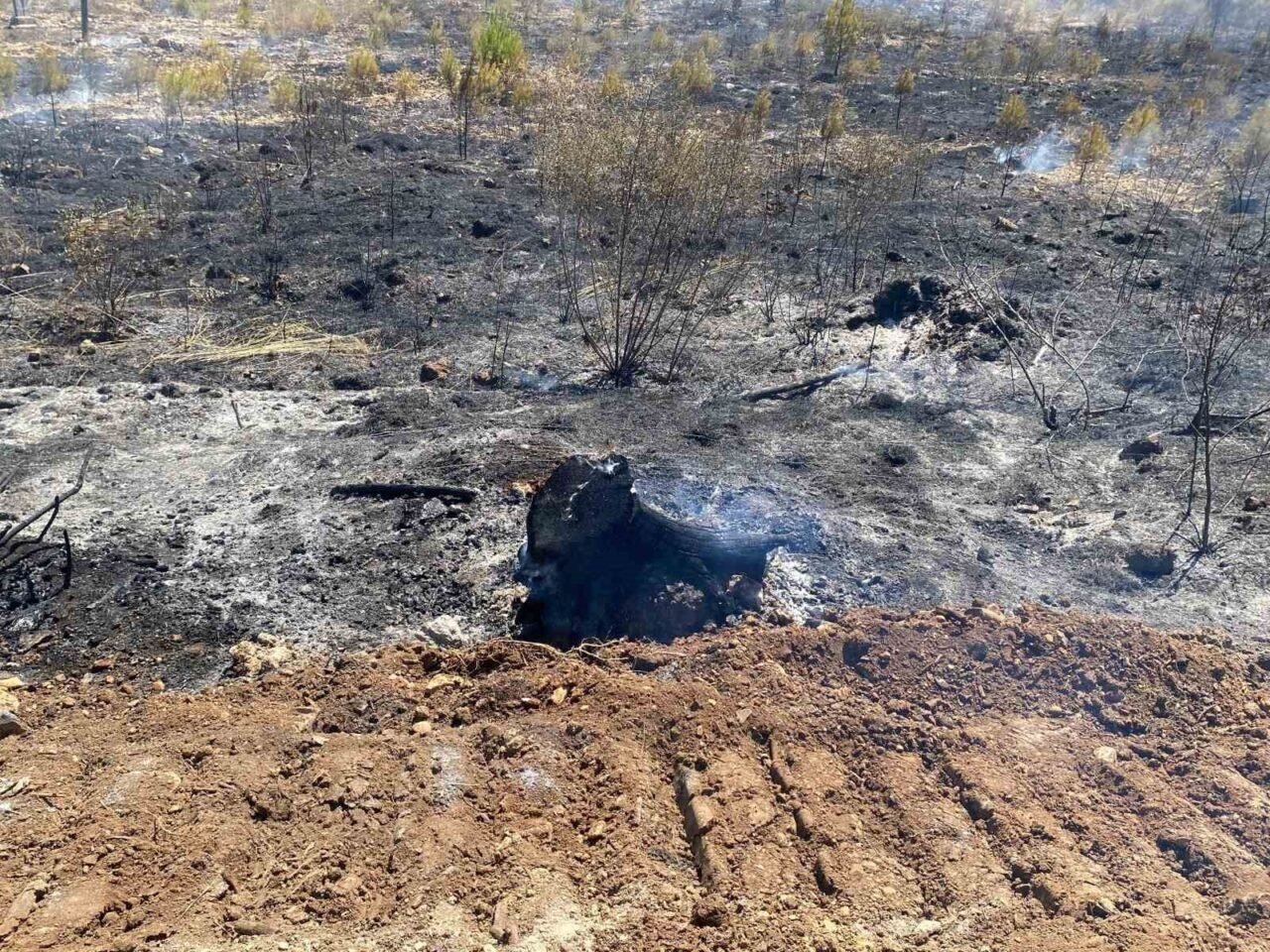 Antalya Aksu’da orman yangını kontrol altına alındı