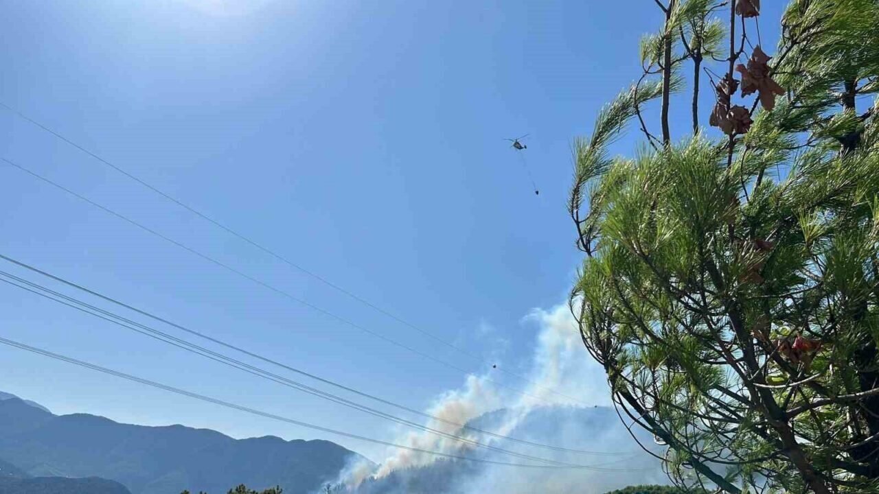 Antalya’da 2 ilçede orman yangını
