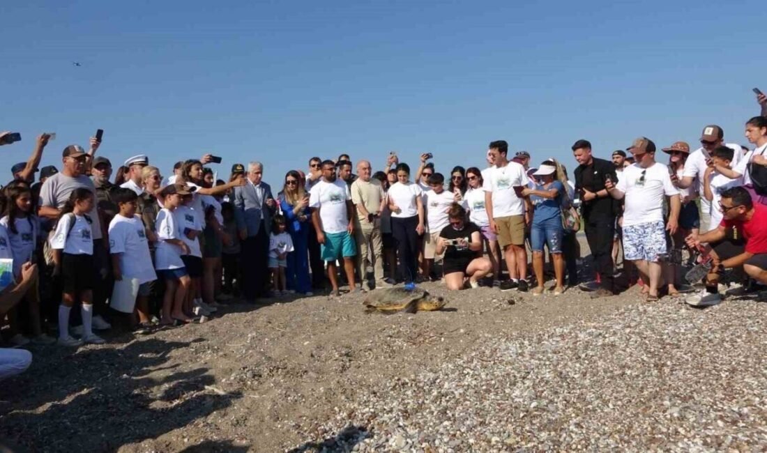 Manavgat Ulualan Halk Plajı’nda yumurtlamak için sahile çıkan ve uydu