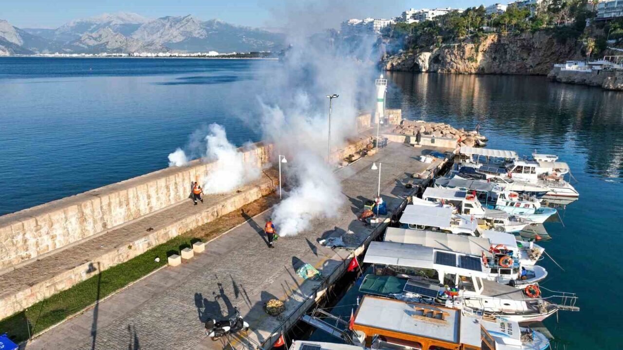 Antalya’da denizden ve karadan haşerelerle mücadele başlatıldı
