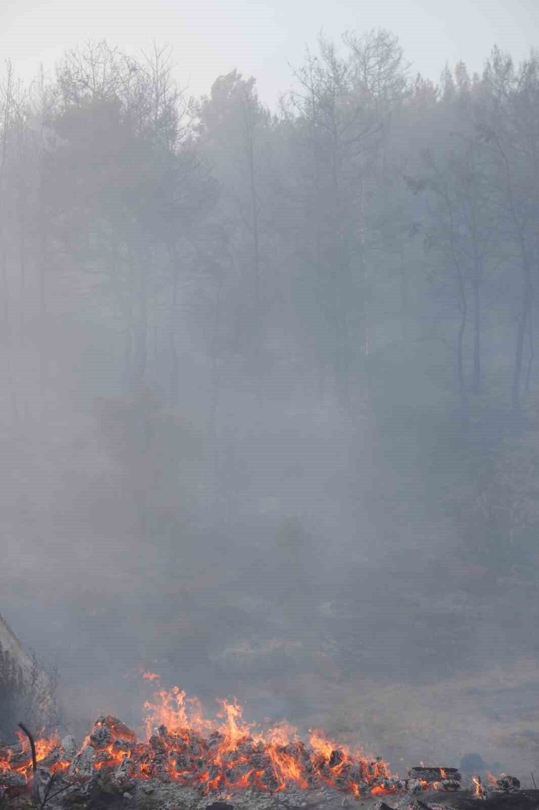 Antalya’da iki noktada çıkan yangında alevlerle burun buruna geldiler