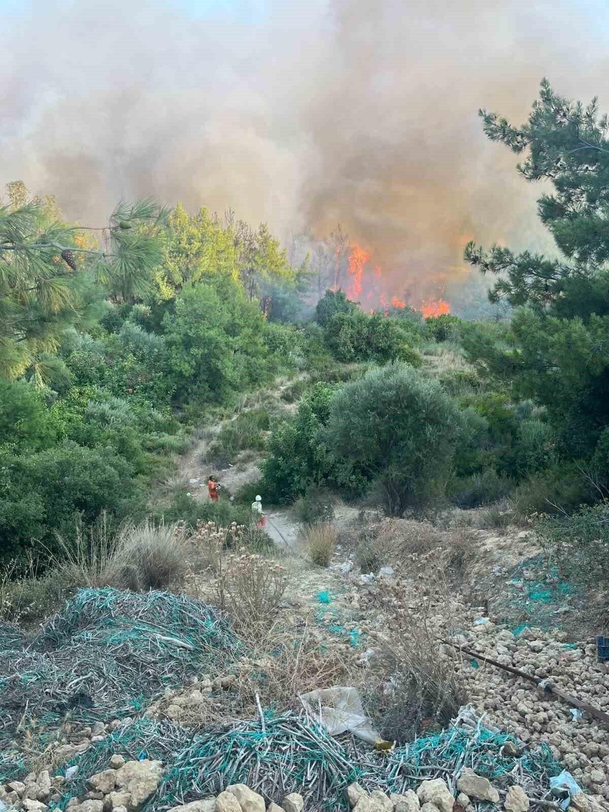 Antalya’da orman yangını