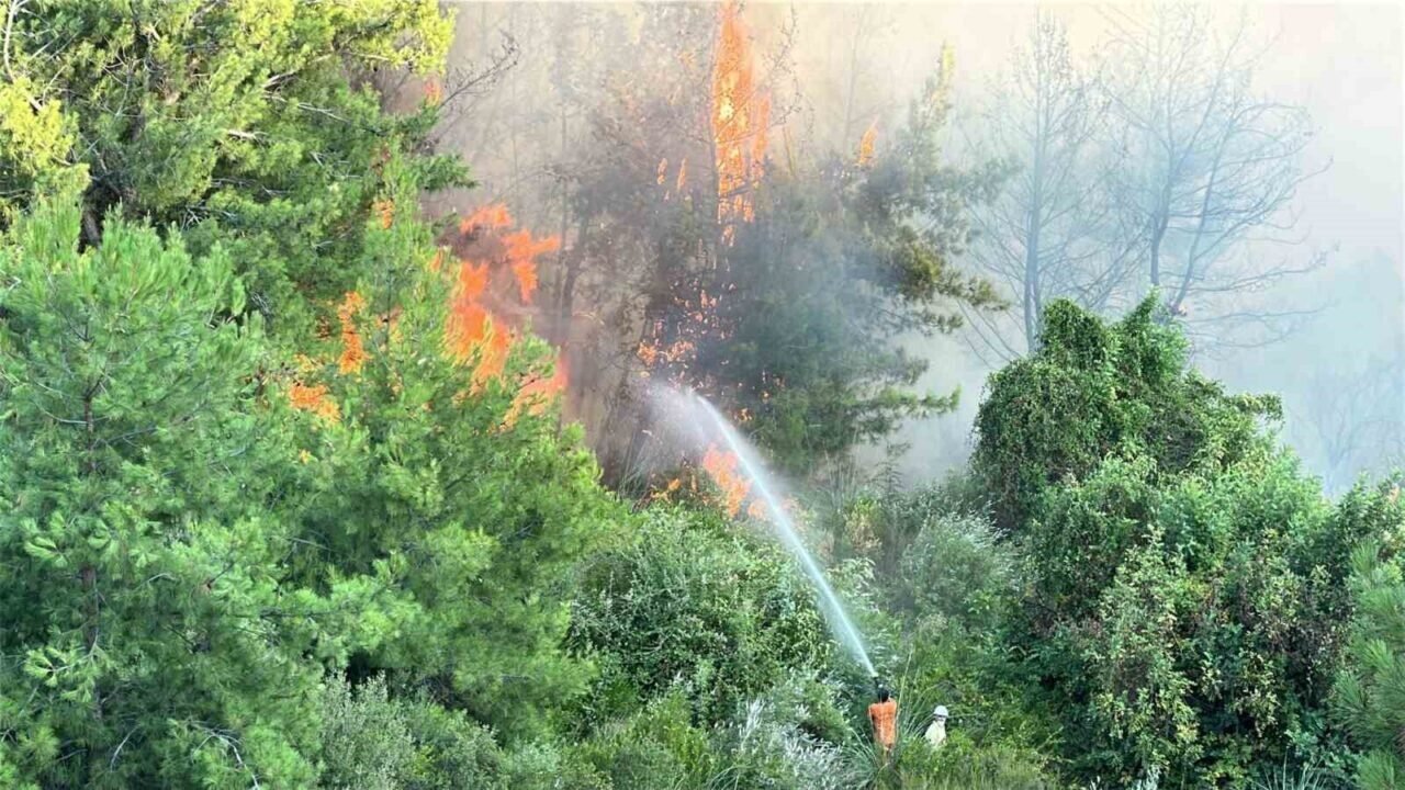 Antalya’da orman yangını