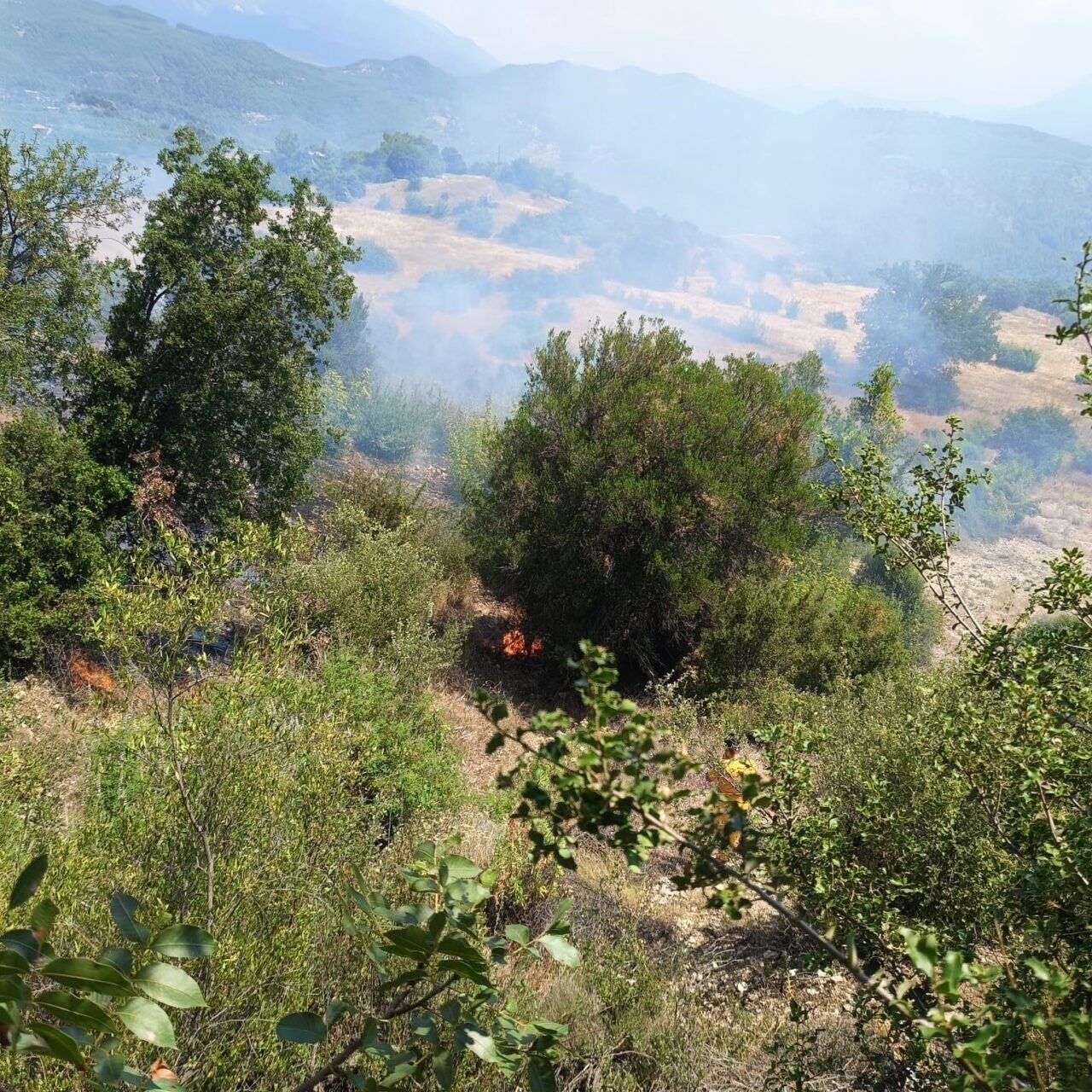 Antalya’da ormanı tehdit eden yangın kontrol altına alındı Antalya’da ormanı tehdit eden yangın kontrol altına alındı