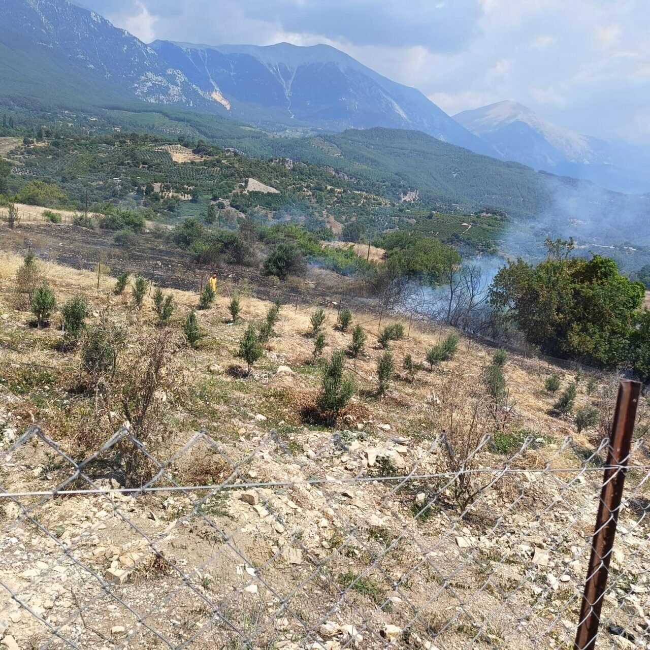 Antalya’da ormanı tehdit eden yangın kontrol altına alındı