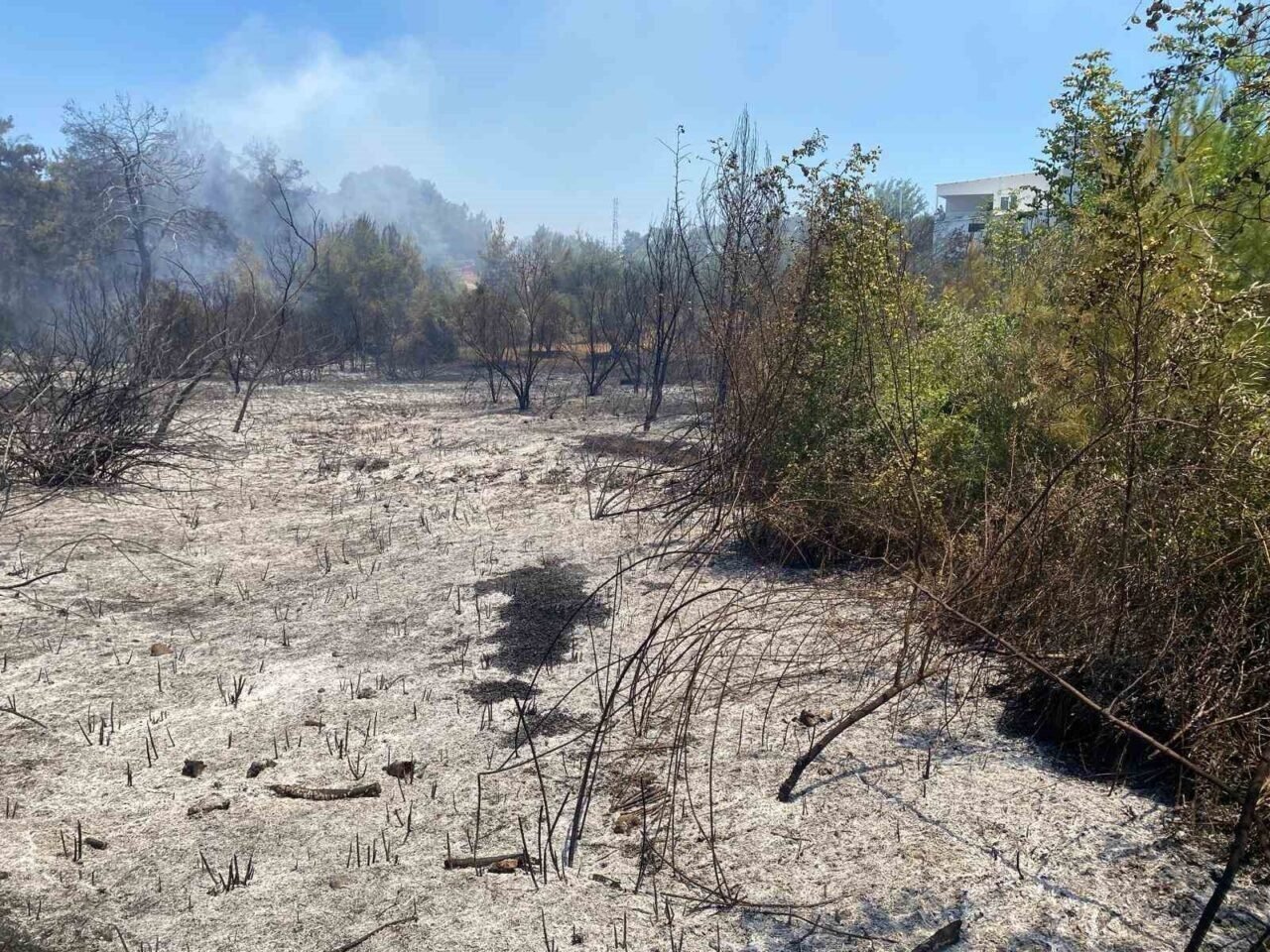 Antalya’da ormanlık ve kırsal alanda çıkan yangın kontrol altına alındı