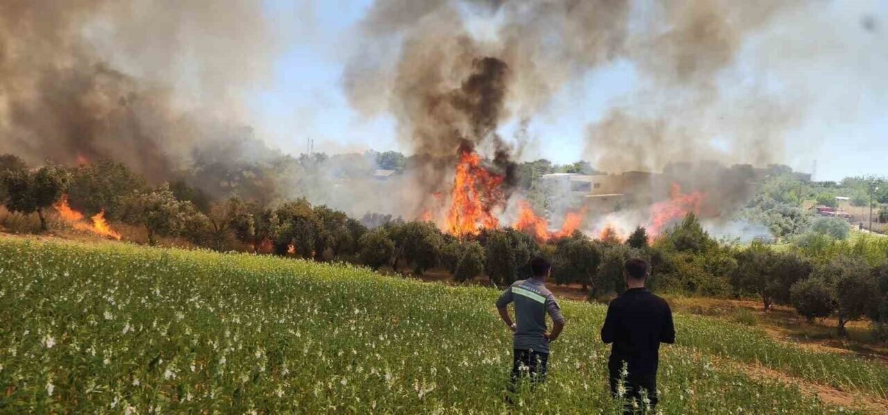 Antalya’da ormanlık ve kırsal alanda çıkan yangın kontrol altına alındı