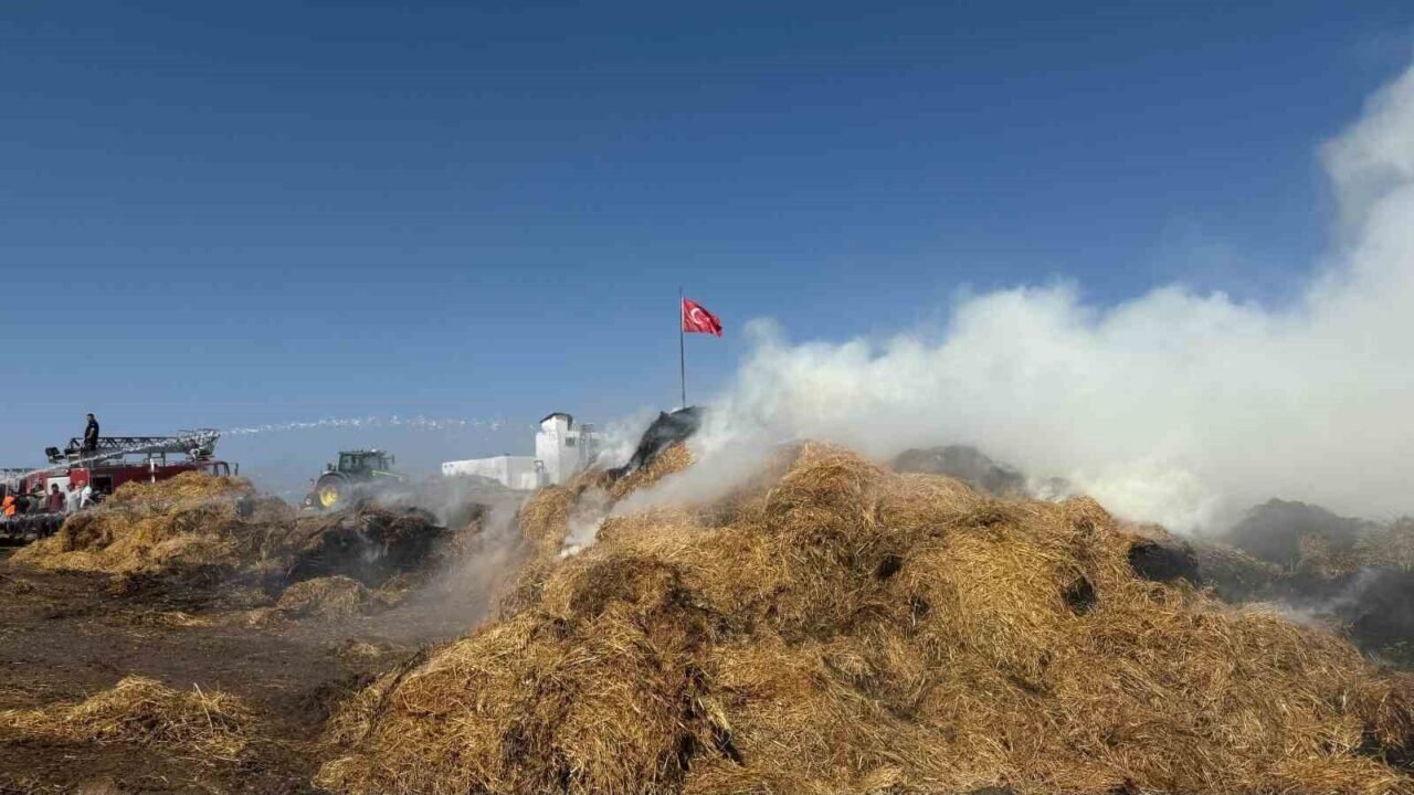 Antalya’da saman yüklü tır alev alev yandı