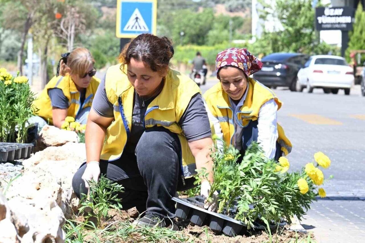 Aydın Büyükşehir’den Nazilli’de temizlik ve peyzaj çalışması