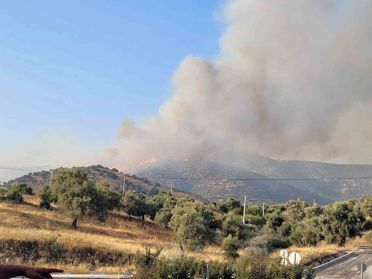 Aydın Efeler’deki yangına ekiplerin müdahalesi sürüyor