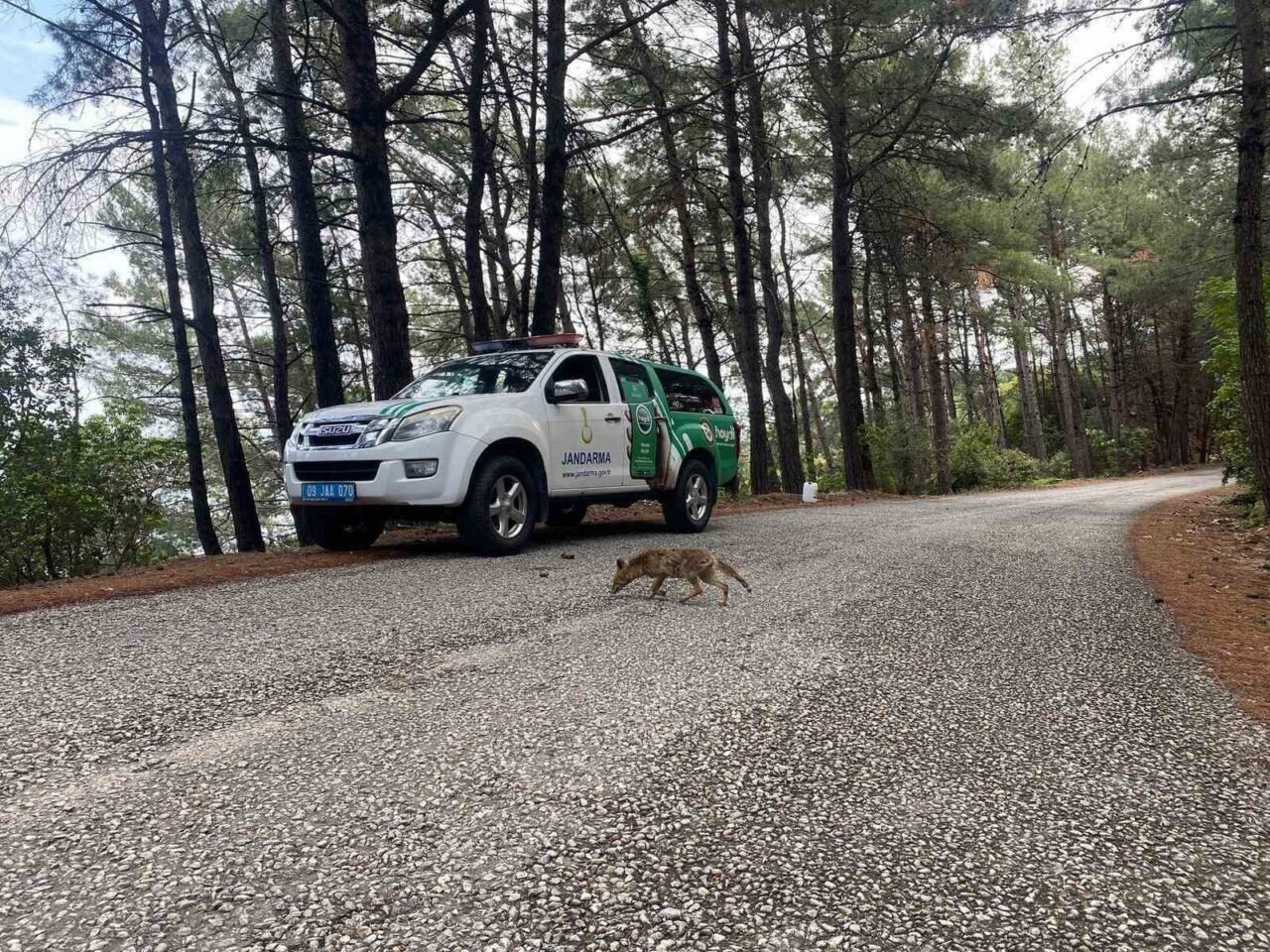 Aydın jandarmasından Milli Park’ta çevre bilinci seferberliği