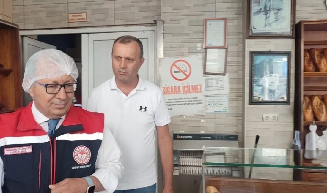 Aydın Tarım ve Orman İl Müdürlüğü tarafından 17 ilçedeki ekmek