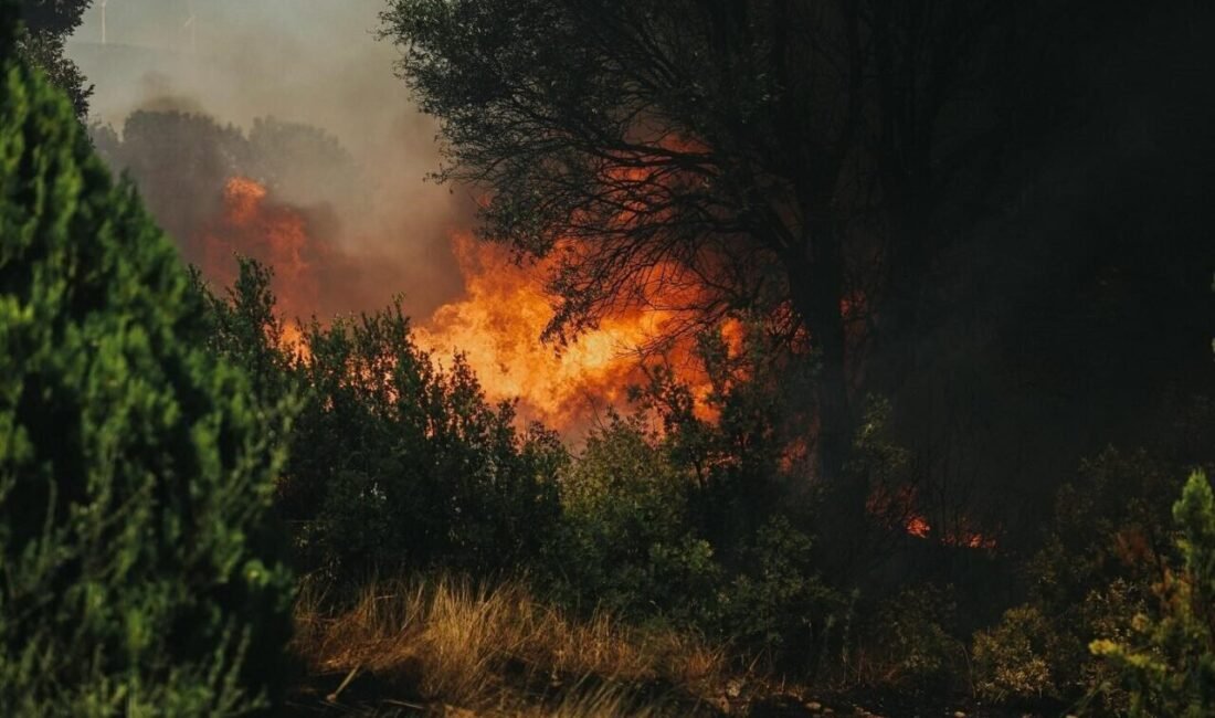 Aydın’da hava sıcaklıklarının artacağı ve mevsim normallerinin 6 ila 9