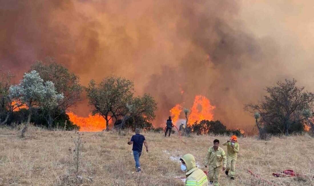 Aydın’da hafta sonu çıkan 11 yangına, Orman İşletme Müdürlüğü ve