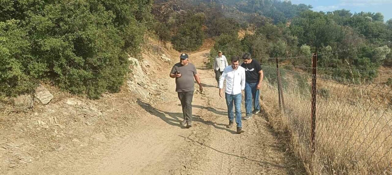 Aydın’da makilik alandaki yangın kontrol altına alındı
