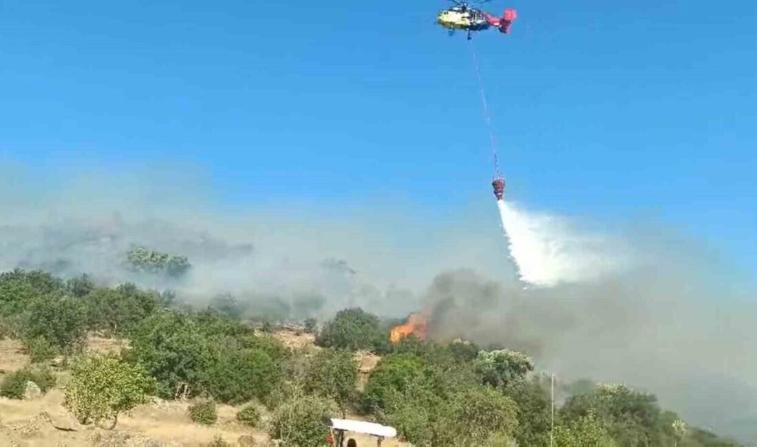 Aydın’ın Bozdoğan ilçesinde makilik alanda çıkan yangın kontrol altına alındı.