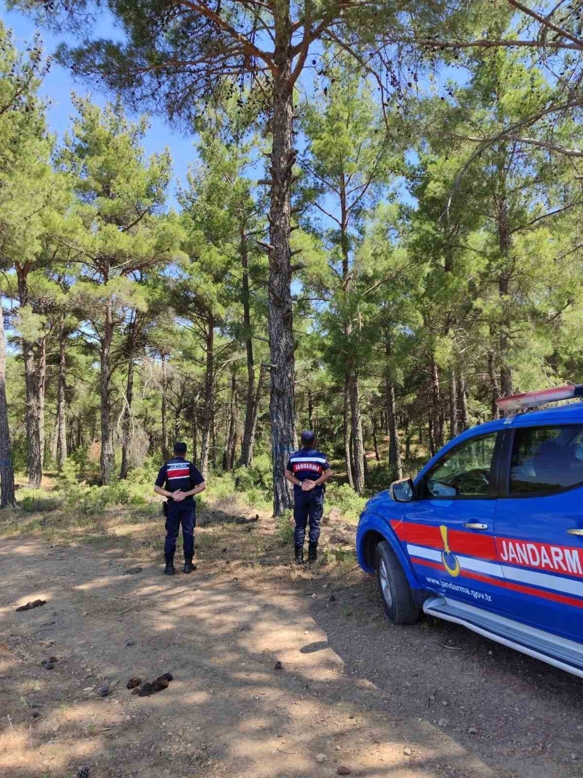 Aydın’da orman yangınlarına karşı sıkı tedbir