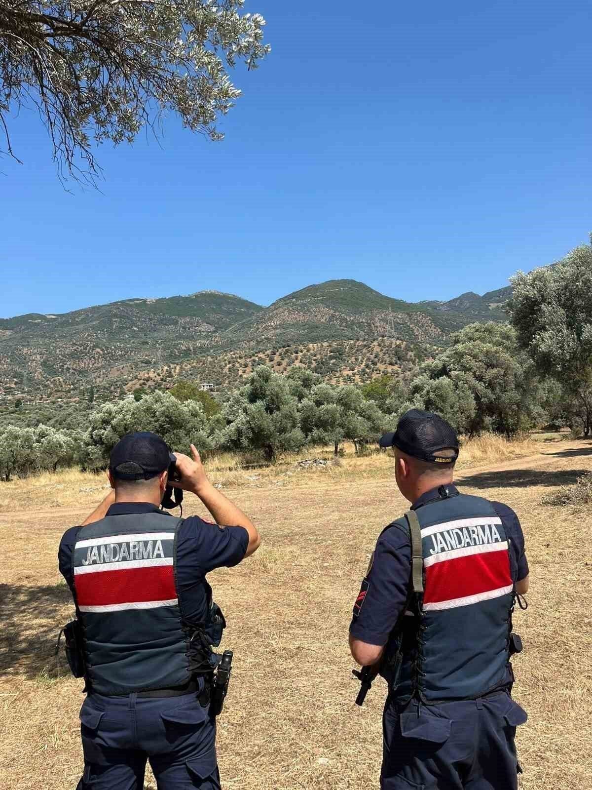 Aydın’da orman yangınlarına karşı sıkı tedbir