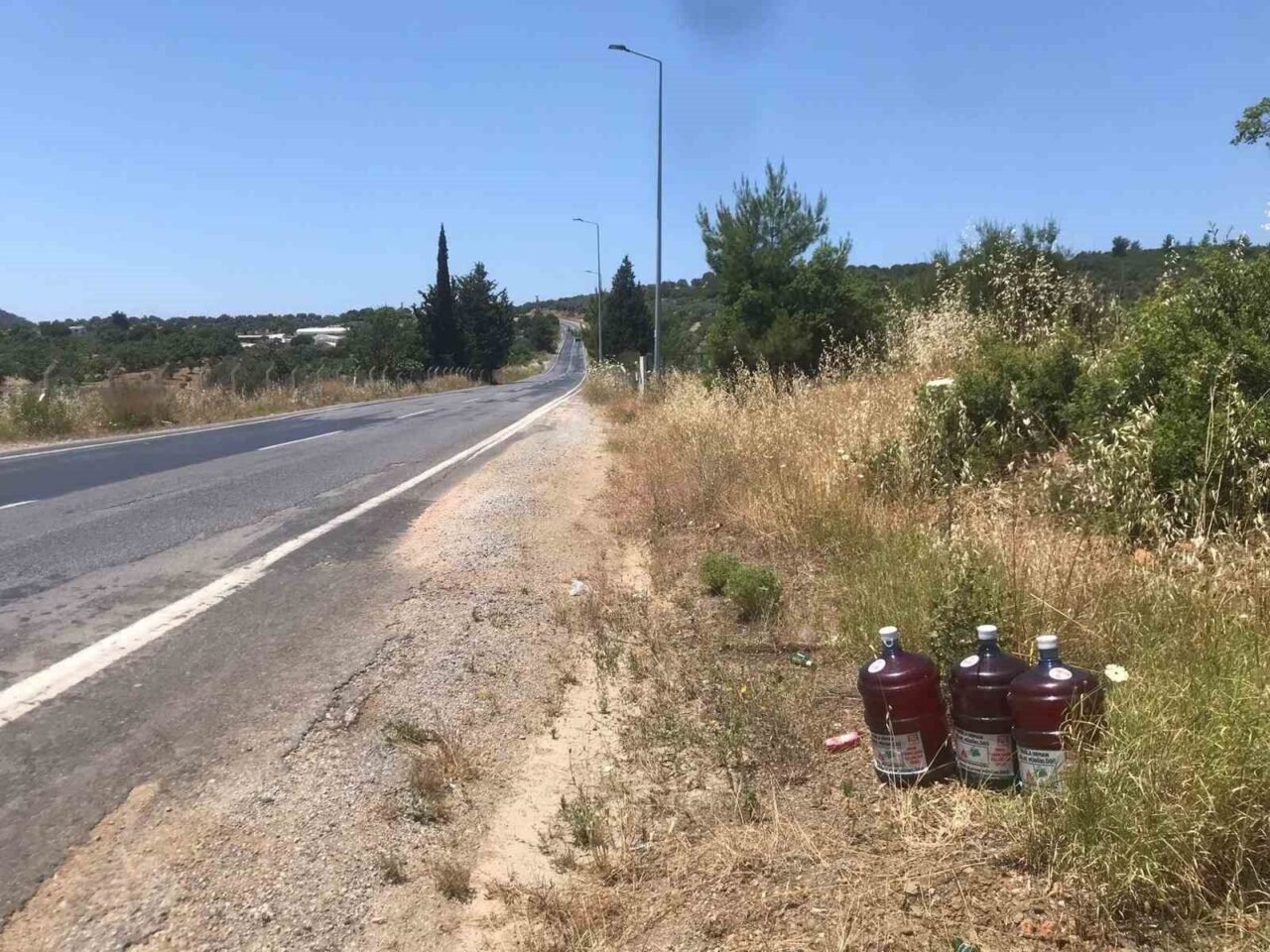 Aydın’da orman yangınlarına karşı yeni tedbir alındı