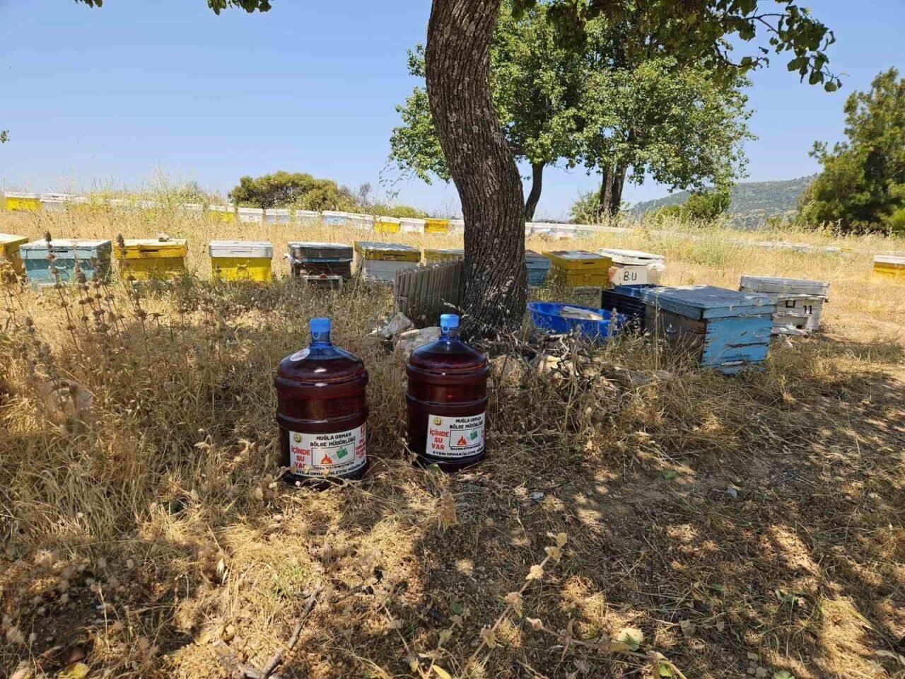 Aydın’da orman yangınlarına karşı yeni tedbir alındı