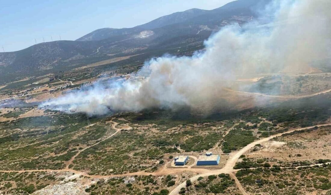 Aydın’da son 48 aatte 93 yangın çıktı. Yangında yangına koşan
