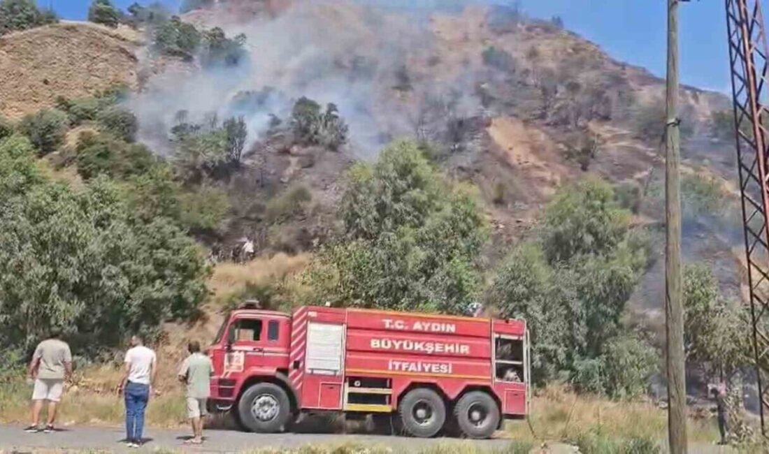 Aydın’da son 48 aatte 93 yangın çıktı. Yangında yangına koşan