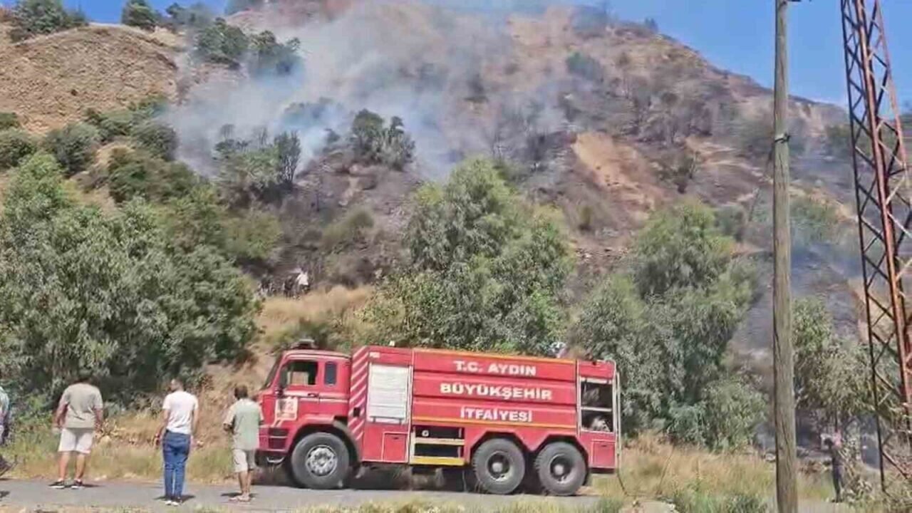 Aydın’da son 48 saatte 93 yangın çıktı, ateş savaşçıları zamanla yarıştı Aydın’da son 48 saatte 93 yangın çıktı, ateş savaşçıları zamanla yarıştı