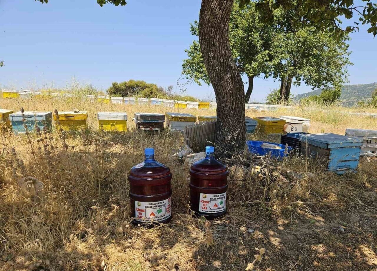Aydın’da yangınlara ilk müdahale için damacana çözümü