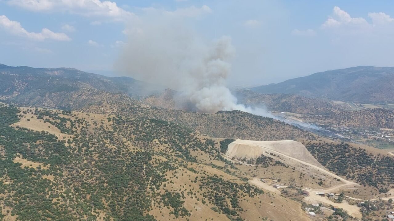 Aydın’da zirai alan yangını