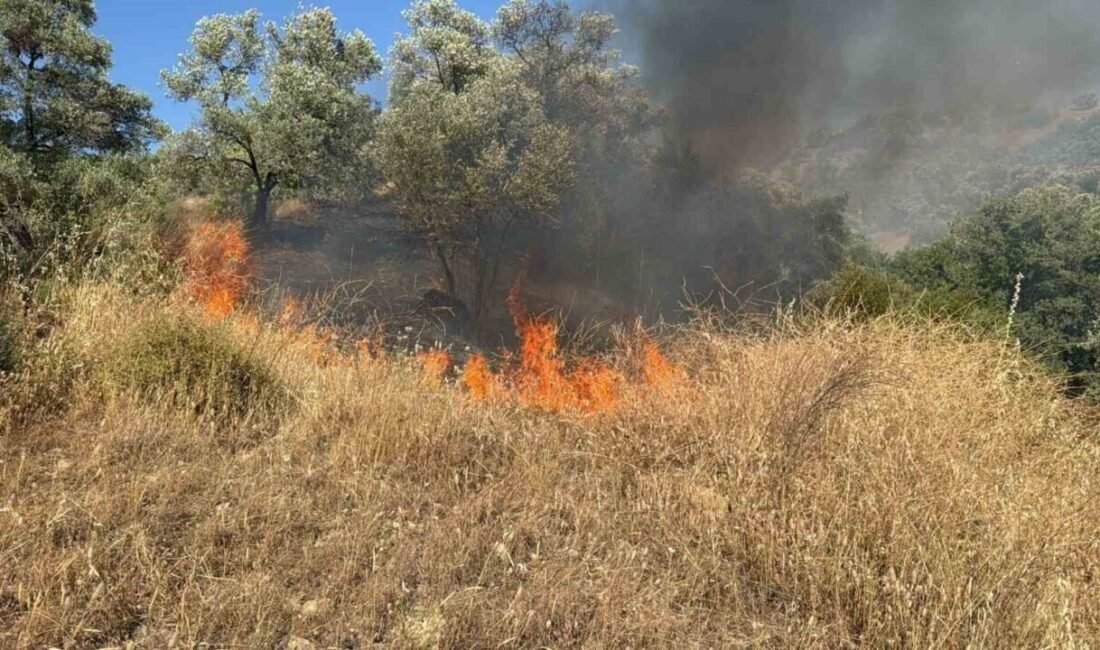 Aydın’ın Efeler ilçesine bağlı Dağeymiri Mahallesinde zirai alanda yangın çıktı.