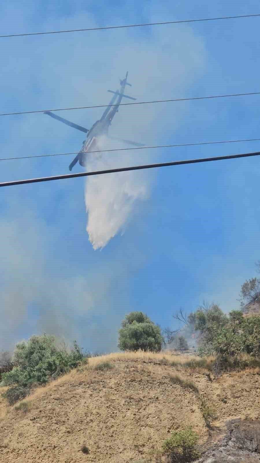 Aydın’daki yangınlar kontrol altına alındı